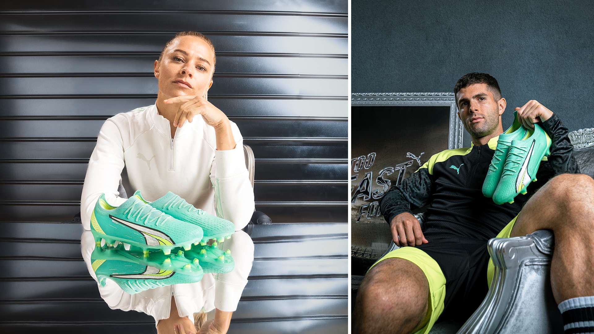 梭鱼湾以其 梭鱼湾以其