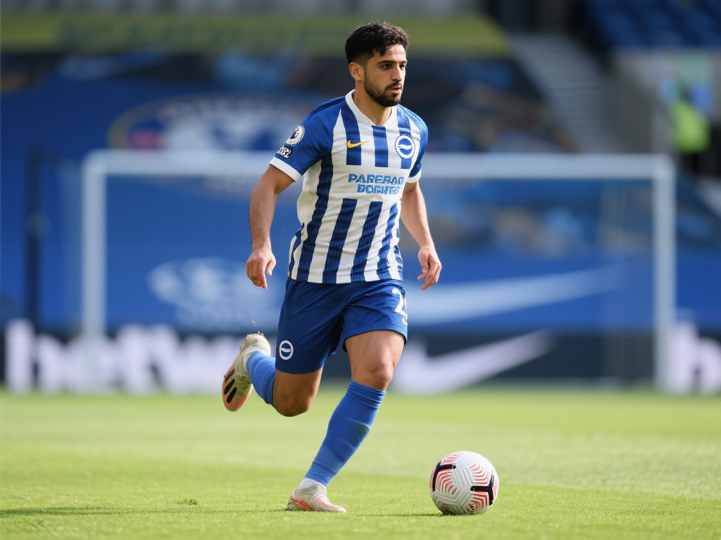 以往德国队 以往德国队